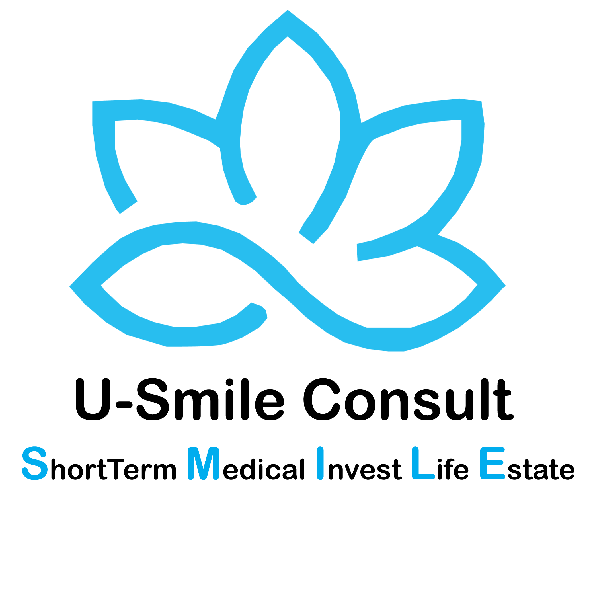 HJ HAVENGA_Full_Logo-01